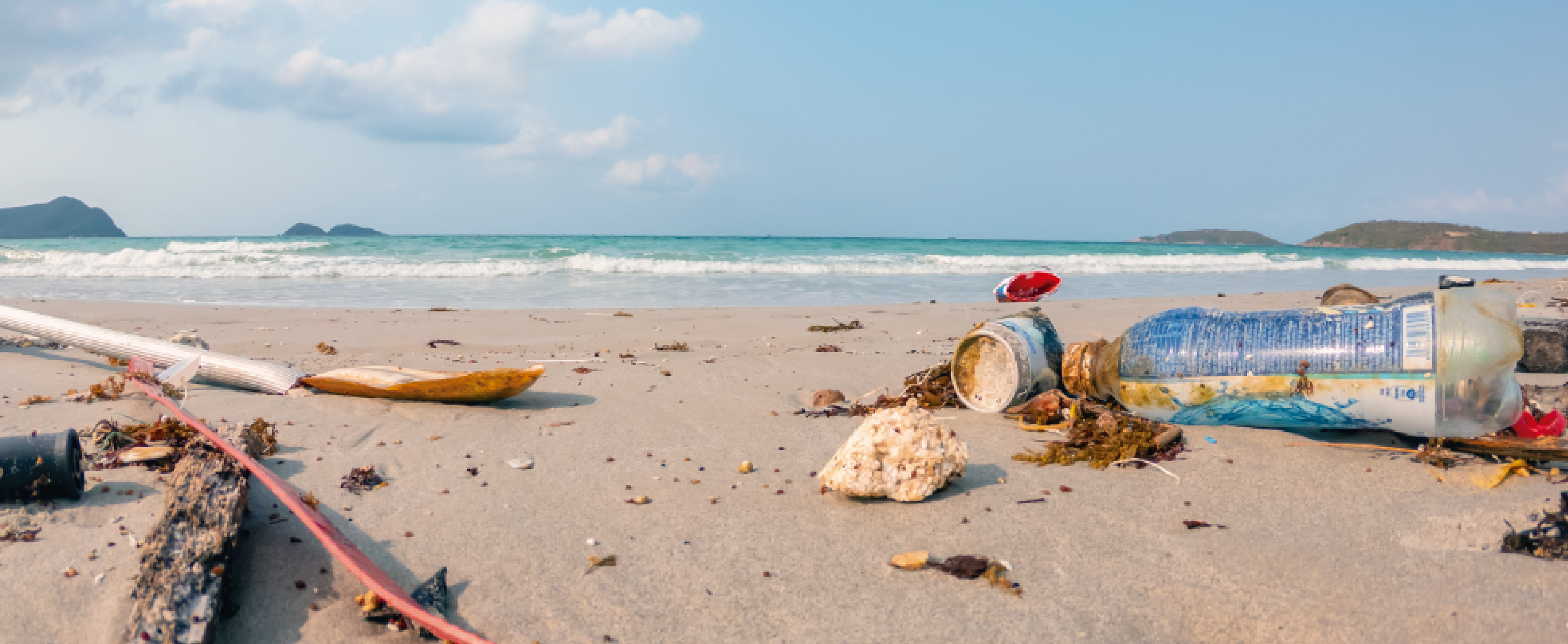 El ecosistema marino, en vilo por la mano humana: caso de basuras en playas de San Andrés